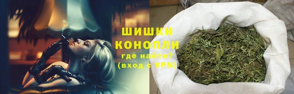 амф Майский