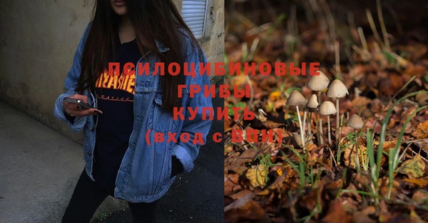 дмт Аксай