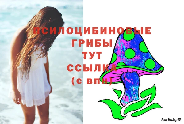 амф Майский