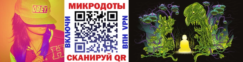 Псилоцибиновые грибы Cubensis  Таштагол 